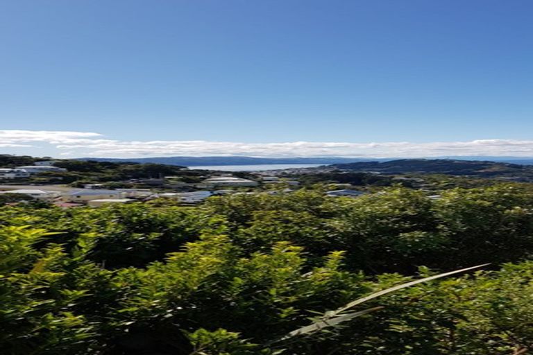 Photo of property in 153 The Ridgeway, Mornington, Wellington, 6021