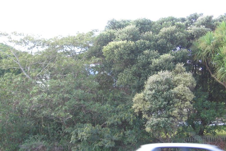 Photo of property in 251 Great North Road, Henderson, Auckland, 0612