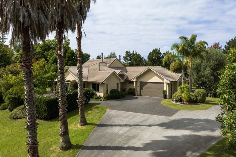 Photo of property in 80 Tuapiro Road, Tahawai, Katikati, 3170