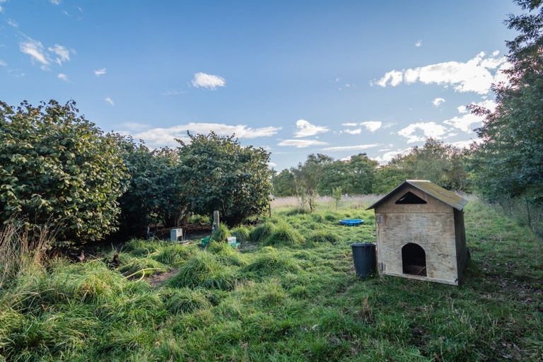 Photo of property in 38 Daniels Road, Normanby, Timaru, 7971