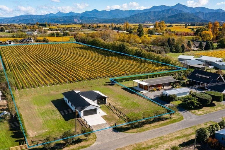 Photo of property in 5 Brook Street, Renwick, 7204