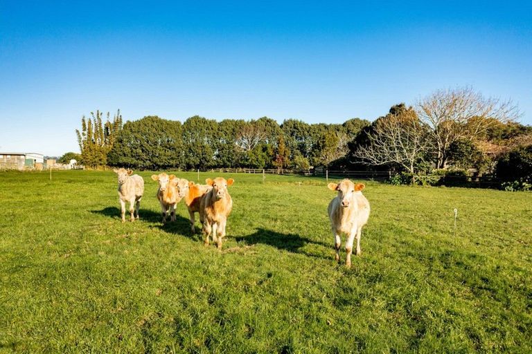 Photo of property in 6835 State Highway 12, Turiwiri, Dargaville, 0374