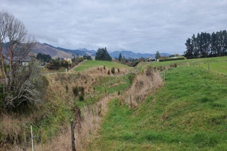 Photo of property in 45 Tavistock Road, Koputaroa, Levin, 5575