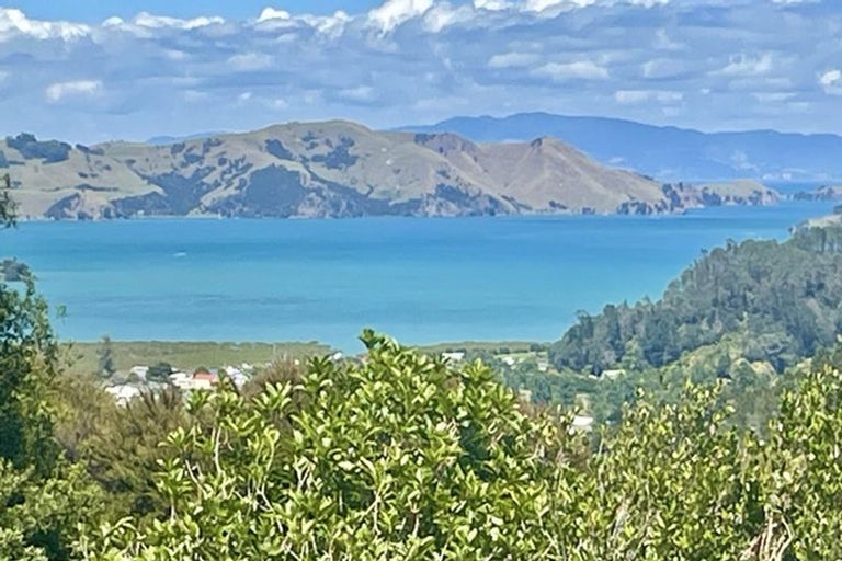 Photo of property in 800 Buffalo Road, Coromandel, 3506