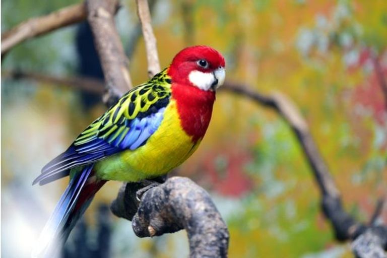 Photo of property in 80 Makamaka Lane, Albany Heights, Auckland, 0632