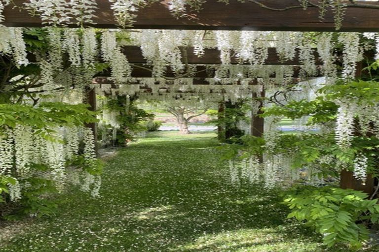 Photo of property in 528 Orari Station Road, Geraldine, 7992