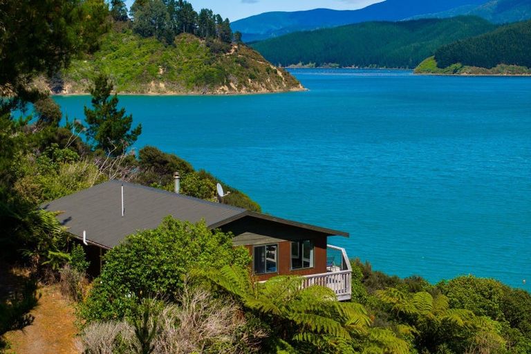 Photo of property in 1236 Tumbledown Bay Road, Port Underwood, Picton, 7281