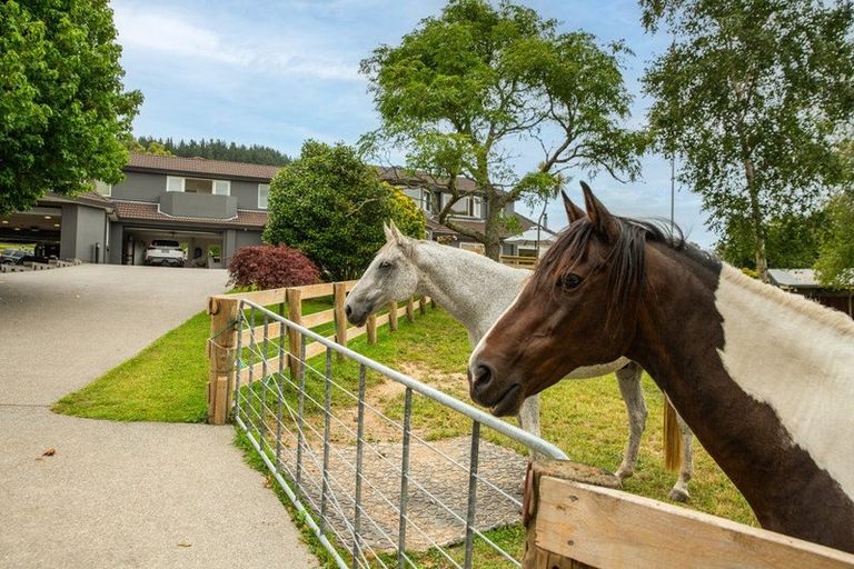 Photo of property in 35 Eucalyptus Way, Nikau Valley, Paraparaumu, 5032