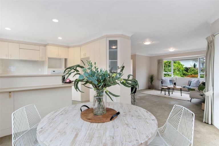Photo of property in 11 Ngahere Street, Otumoetai, Tauranga, 3110