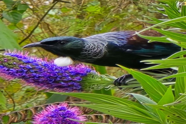 Photo of property in 43 Melville Drive, Whakatane, 3120