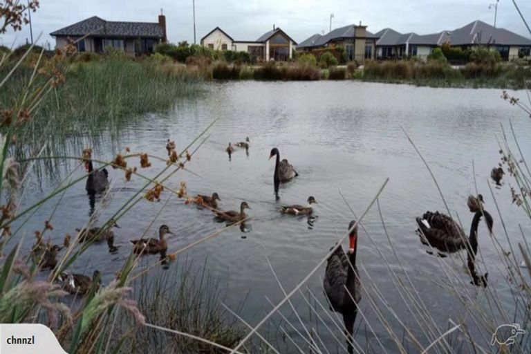 Photo of property in 154 Southfield Drive, Lincoln, 7608