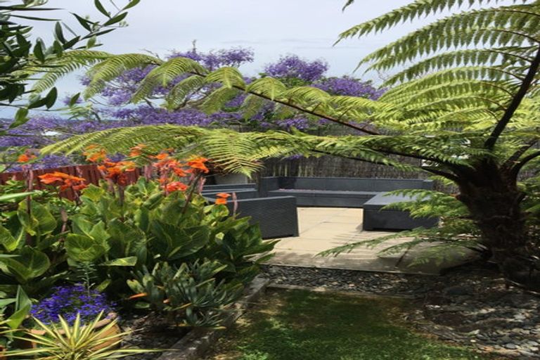 Photo of property in 51 Spence Road, Henderson, Auckland, 0612