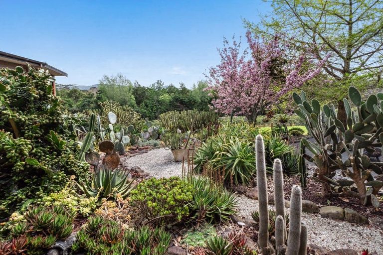 Photo of property in 124 Kauri Point Road, Tahawai, Katikati, 3170