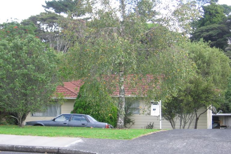 Photo of property in 57 Brunner Road, Glen Eden, Auckland, 0602