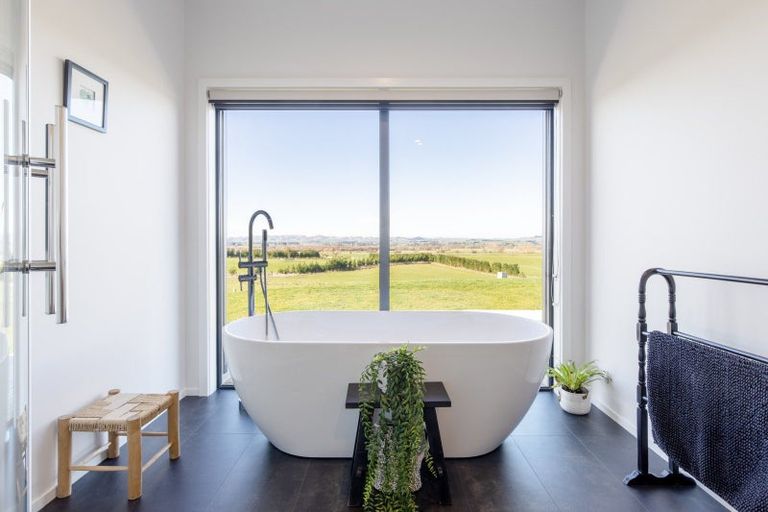 Photo of property in 471 Hatuma Road, Waipukurau, 4281