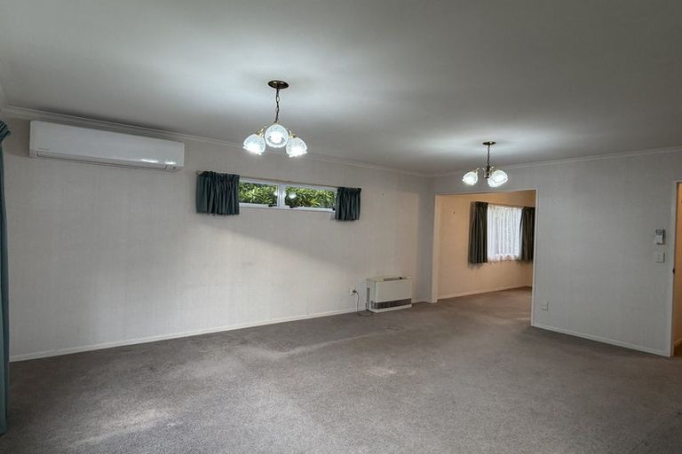 Photo of property in 127 Clarkin Road, Fairfield, Hamilton, 3214