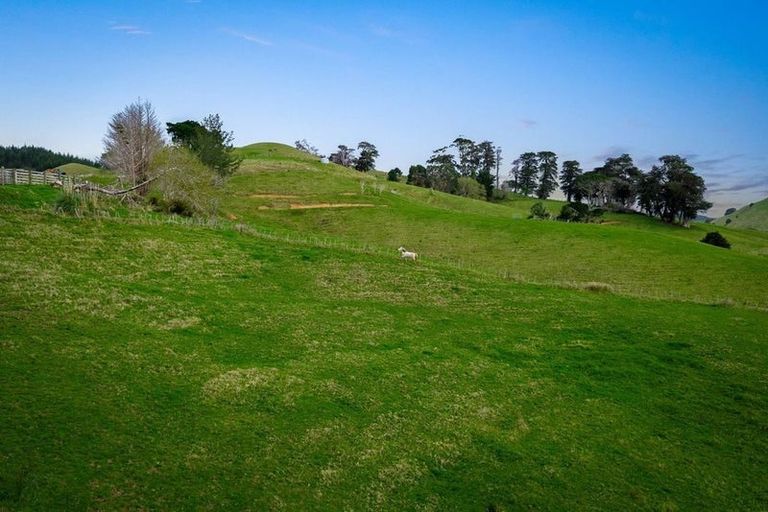 Photo of property in 205 Wayby Station Road, Wellsford, 0972