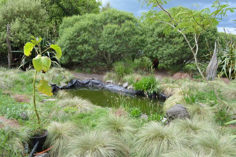 Photo of property in 1156 Main Road, Galatea, Murupara, 3079