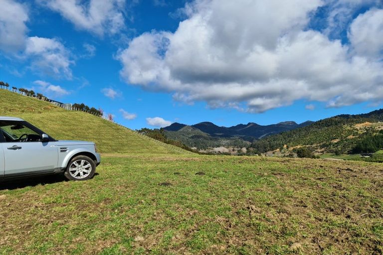 Photo of property in 287 Wentworth Valley Road, Whangamata, 3691
