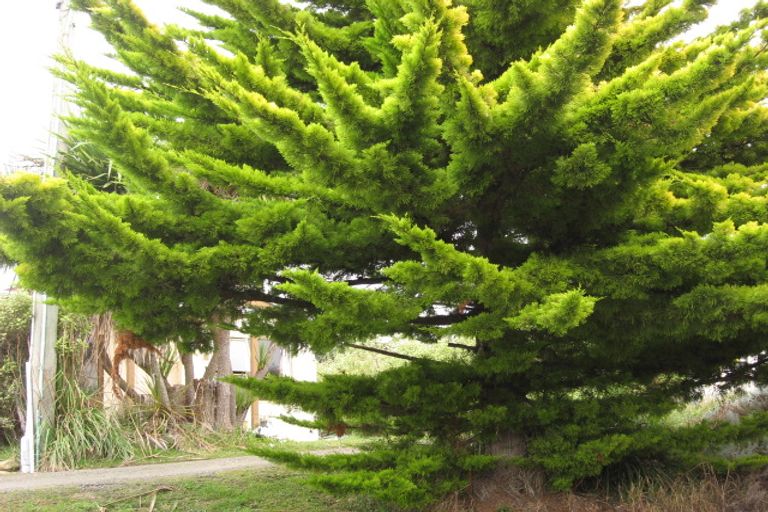 Photo of property in 114 Stornoway Street, Karitane, Waikouaiti, 9471