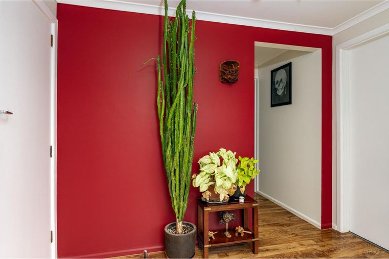 Photo of property in 238 Talbot Street, Geraldine, 7930