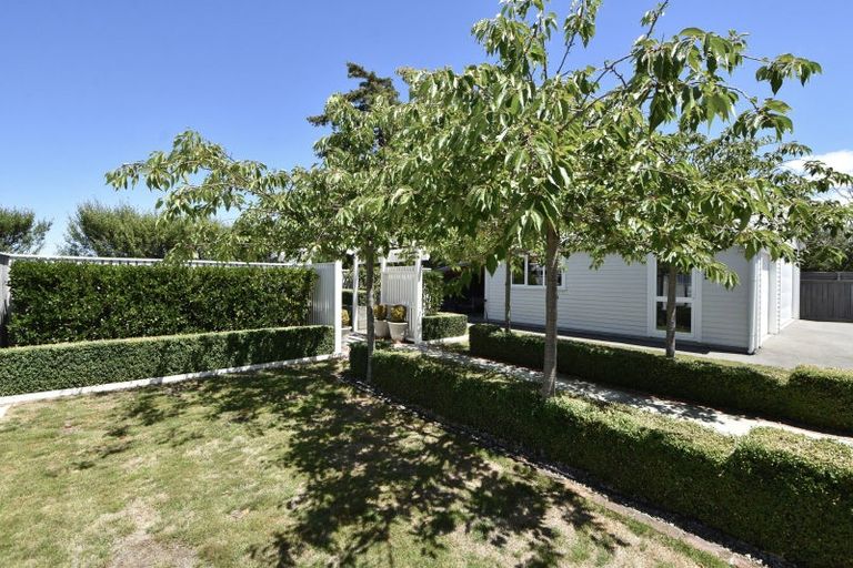 Photo of property in 73 Renall Street, Masterton, 5810