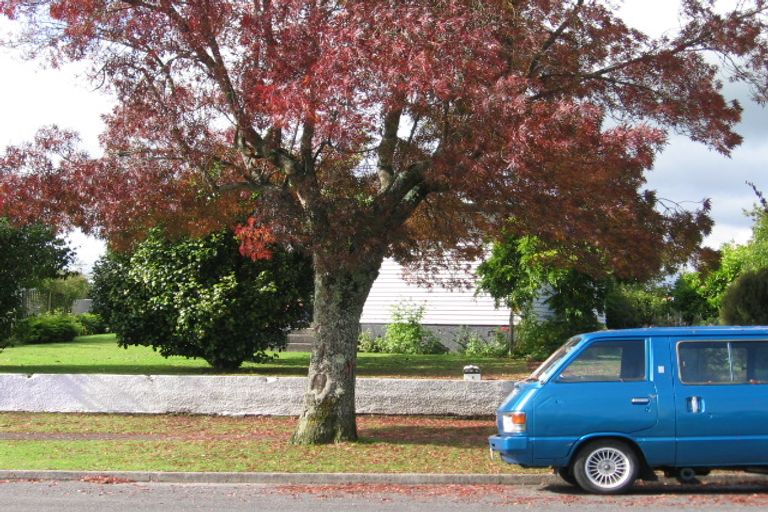 Photo of property in 9 Arthur Street, Tokoroa, 3420