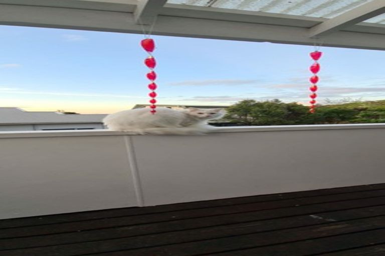 Photo of property in 14 Dodson Valley Road, Atawhai, Nelson, 7010