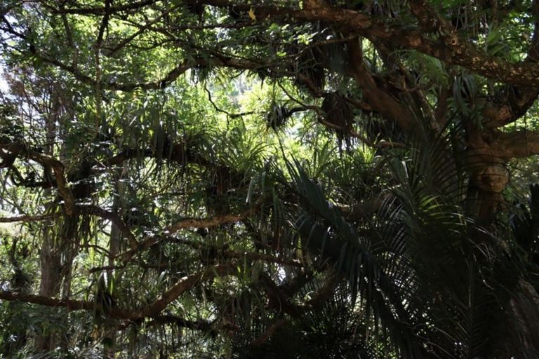 Photo of property in 16 Otaere Road, Okaihau, 0475