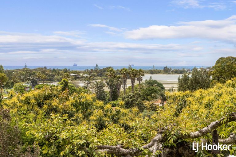 Photo of property in 117 Athenree Road, Athenree, Katikati, 3177