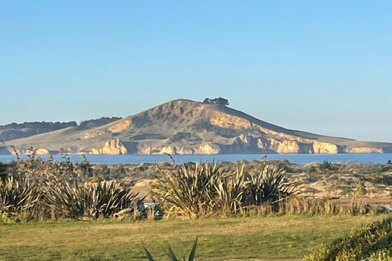 Photo of property in 1391 Coast Road, Karitane, Waikouaiti, 9471