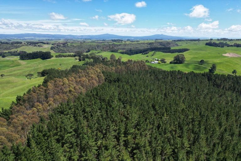 Photo of property in 1401 Whangamata Road, Marotiri, Taupo, 3377