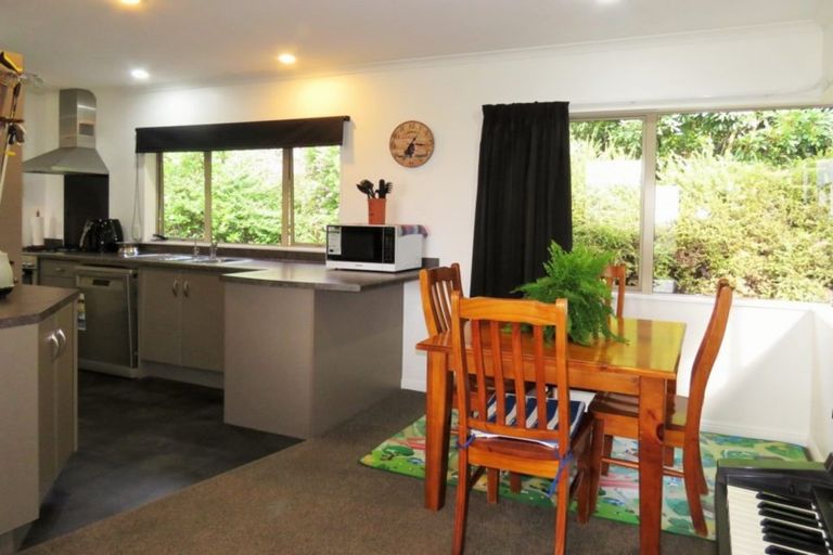 Photo of property in 91 Buckley Road, Shannon, Palmerston North, 4474