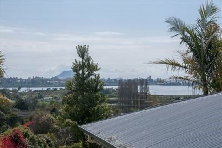 Photo of property in 16 Corwen Avenue, Hairini, Tauranga, 3112