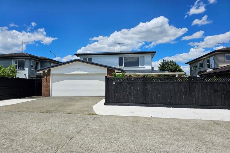 Photo of property in 12 Montanez Drive, Flat Bush, Auckland, 2019