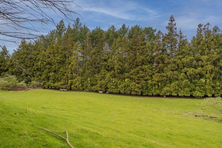Photo of property in 899f Purangi Road, Cooks Beach, Whitianga, 3591