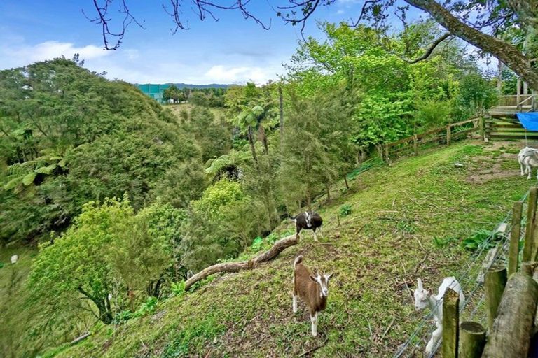 Photo of property in 14 Galway Place, Te Puke, 3119