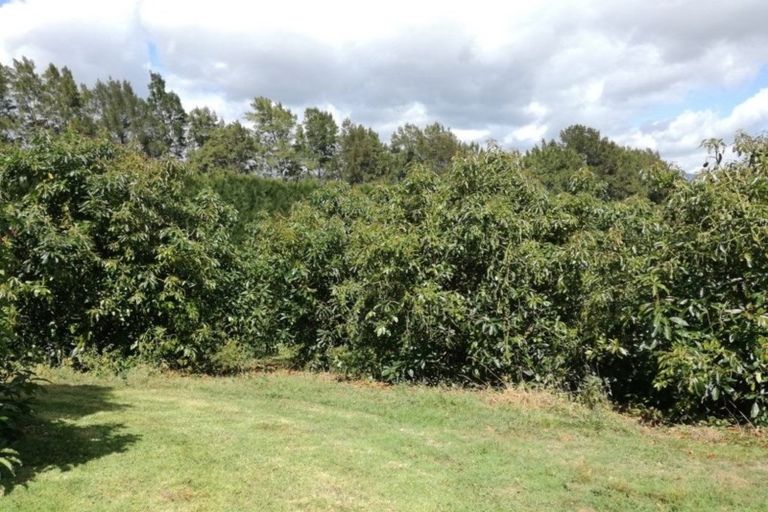 Photo of property in 48 Esdaile Road, Whakamarama, Tauranga, 3180