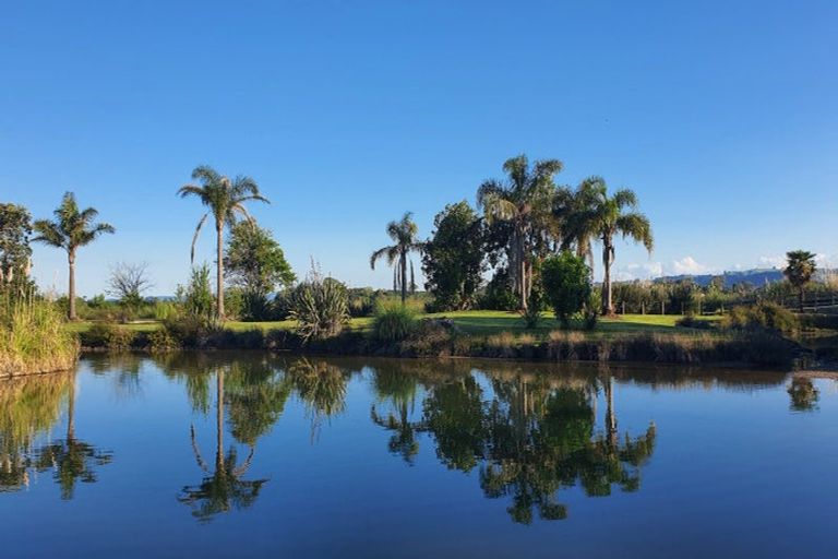 Photo of property in 20 Tinopai Drive, Omokoroa, 3114