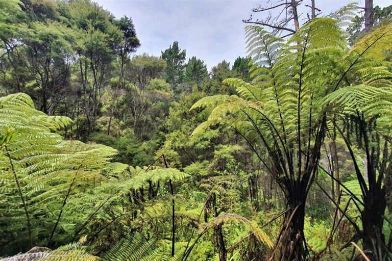 Photo of property in 46 Schoolhouse Bay Road, Kawau Island, 0920