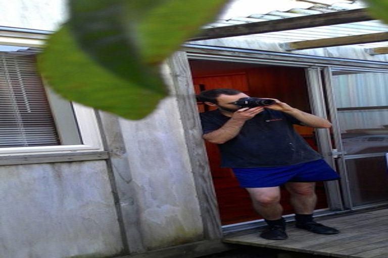 Photo of property in 94 Tannadyce Street, Strathmore Park, Wellington, 6022