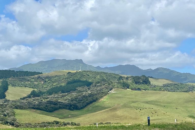 Photo of property in 99 Rangitahi Road, Raglan, 3225