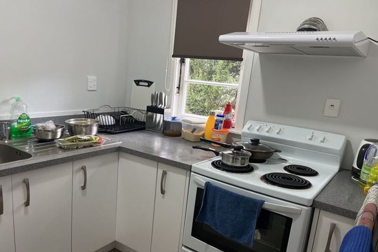 Photo of property in 154 Hanson Street, Newtown, Wellington, 6021