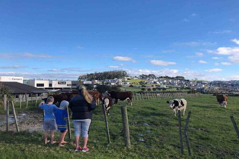 Photo of property in 81 Totara Views Drive, Silverdale, 0932