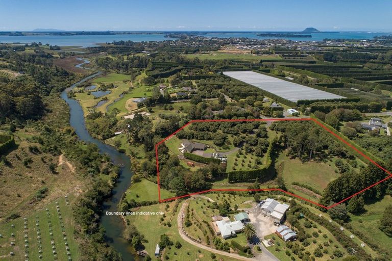 Photo of property in 69 Francis Road, Whakamarama, Tauranga, 3172