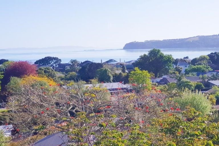 Photo of property in 49 Layton Road, Manly, Whangaparaoa, 0930