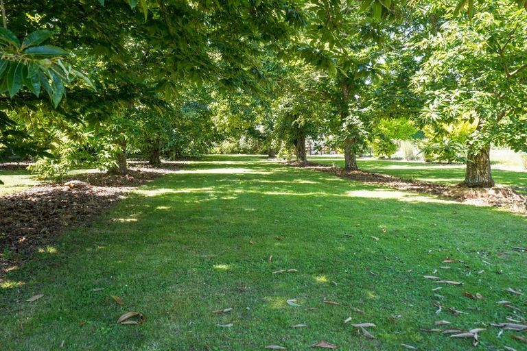 Photo of property in 389 Marshs Road, Halswell, Christchurch, 8025