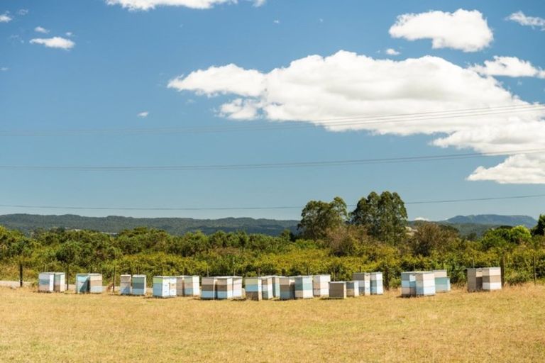 Photo of property in 251 Taumata Road, Omanawa, Tauranga, 3173