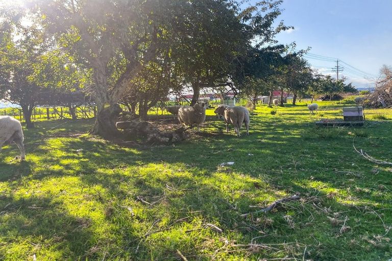 Photo of property in 630 Nelson Road, Makauri, Gisborne, 4071