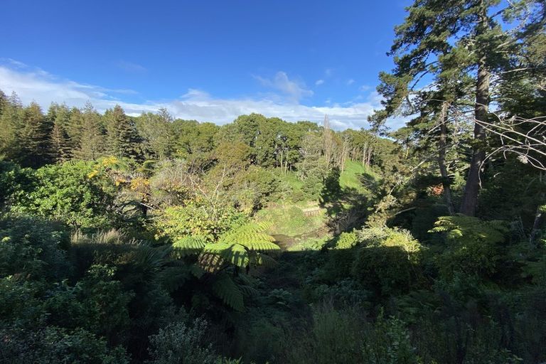 Photo of property in 9b Darley Street, Maeroa, Hamilton, 3200